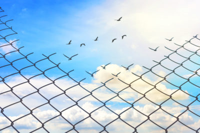A Parent’s Suggestions for Improving the Division of Youth Services